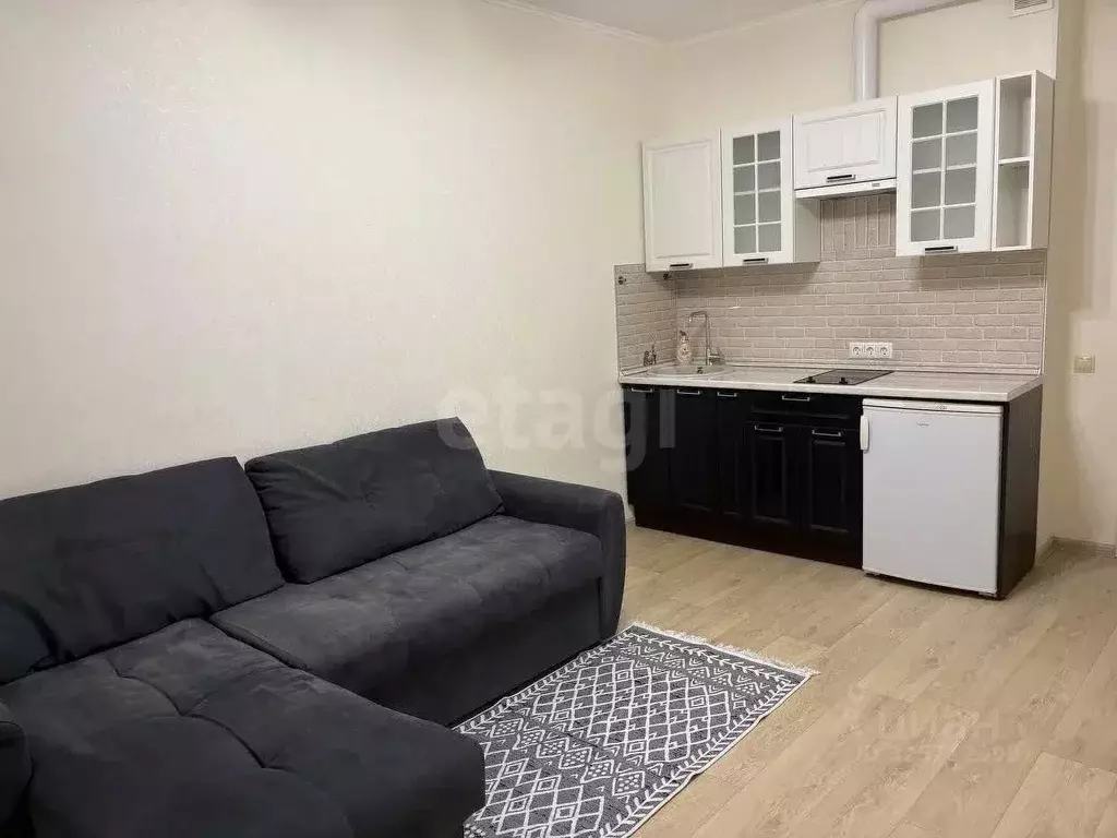 Студия Новосибирская область, Новосибирск Приморская ул., 24 (24.9 м) - Фото 1