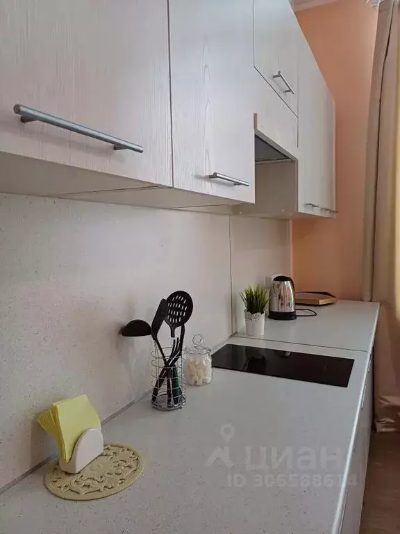Студия Алтай, Горно-Алтайск Коммунистический просп., 24 (36.0 м) - Фото 0
