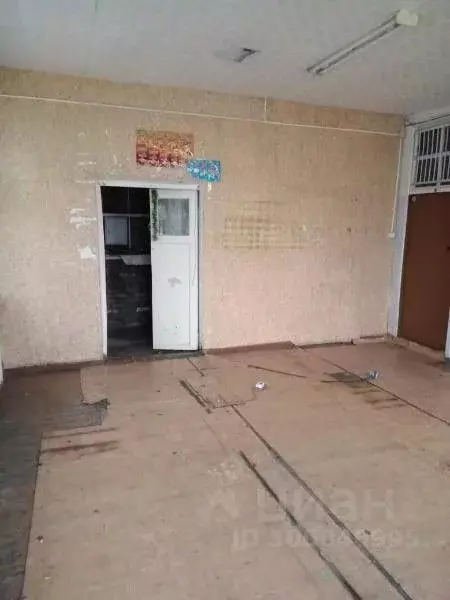 Помещение свободного назначения в Омская область, Горьковский район, ... - Фото 2