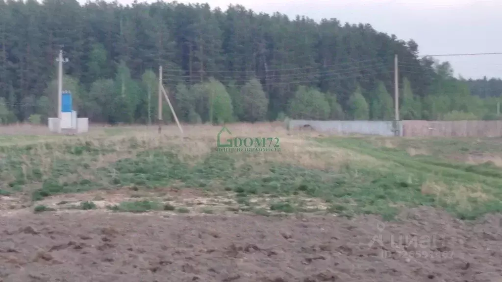 Участок в Тюменская область, Тобольский муниципальный округ, ... - Фото 1