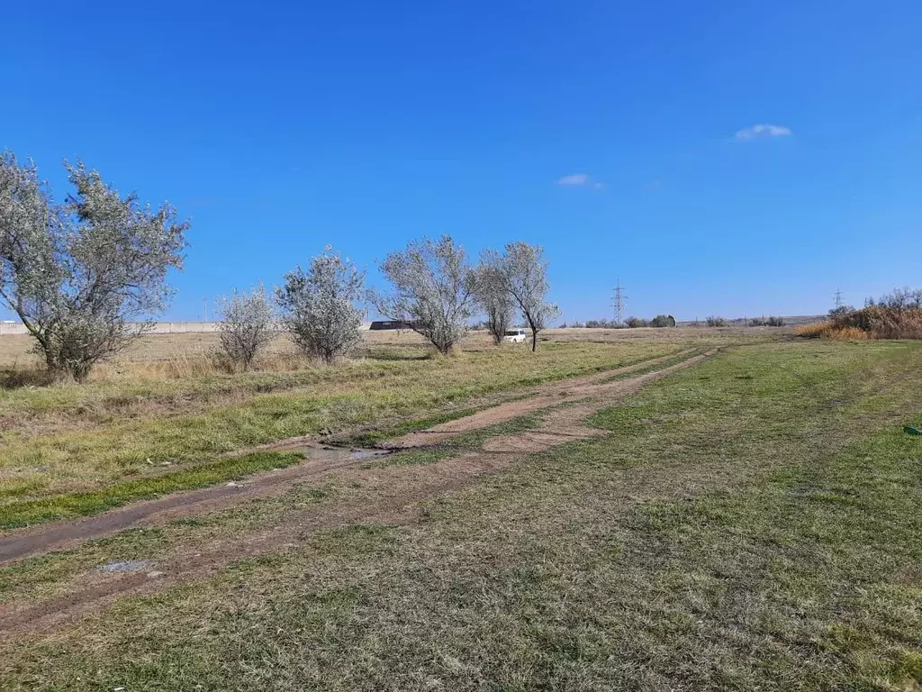 участок в крым, черноморский район, с. новоивановка ул. цветочная . - Фото 1