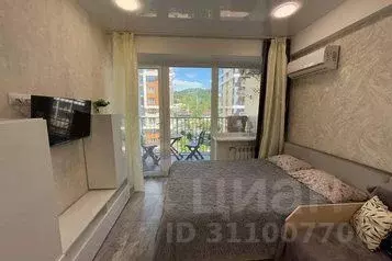 1-к кв. Краснодарский край, Сочи городской округ, Дагомыс пгт ул. ... - Фото 1