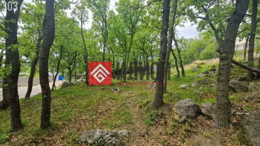 Участок в Крым, Ялта городской округ, Гаспра пгт ул. Горького, 26 (5.0 ... - Фото 1