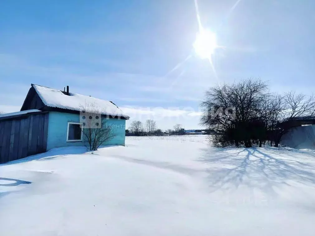 Дом в Амурская область, Серышевский муниципальный округ, с. Бочкаревка ... - Фото 2