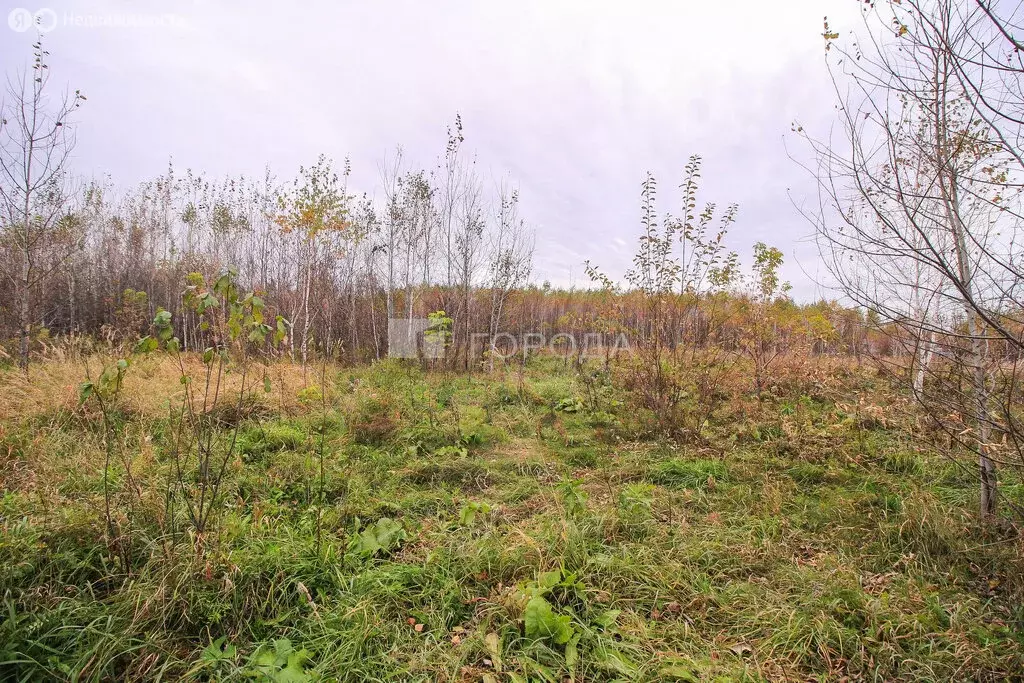 Участок в Алтайский край, Новоалтайск (3.2 м) - Фото 2