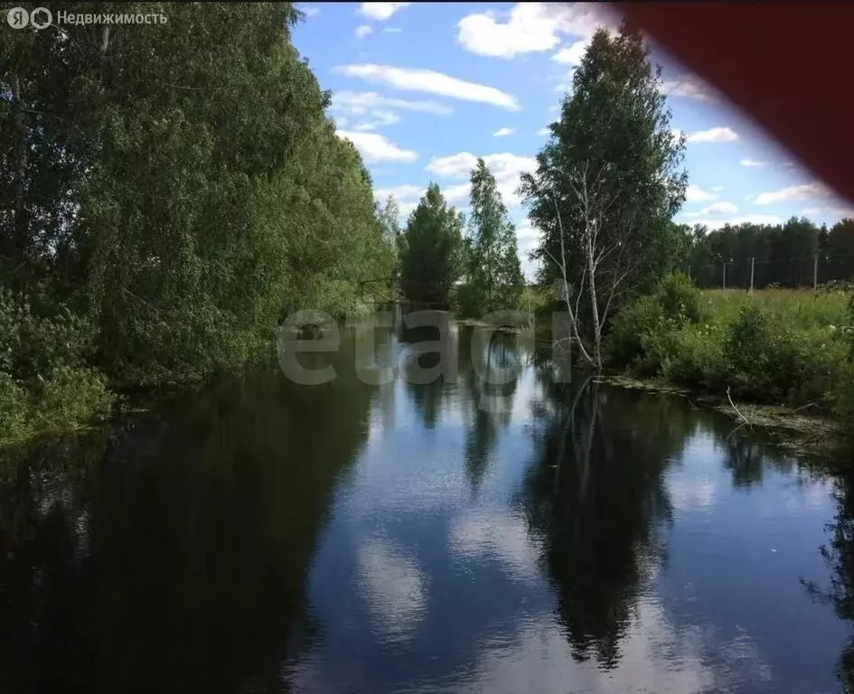 Участок в Новосибирский район, Кудряшовский сельсовет, посёлок ... - Фото 2