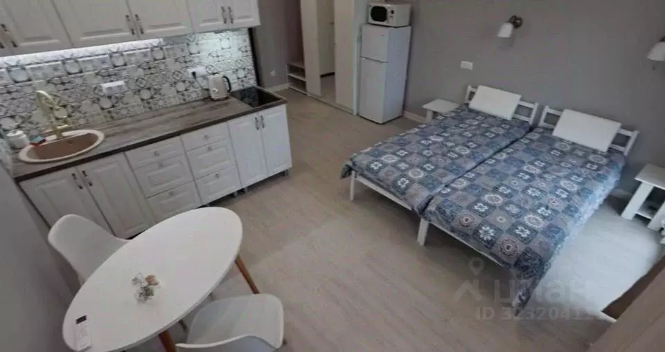 Студия Краснодарский край, Сочи ул. Ленина, 300А/3 (25.0 м) - Фото 2