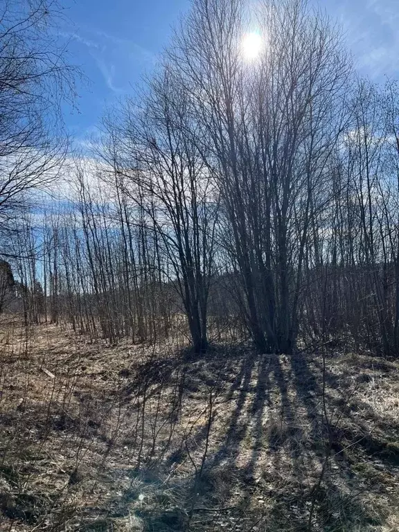 Участок в Московская область, Солнечногорск городской округ, д. ... - Фото 1
