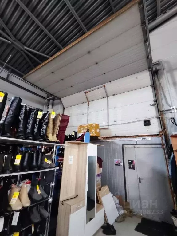 Помещение свободного назначения в Ямало-Ненецкий АО, Ноябрьск проезд ... - Фото 1