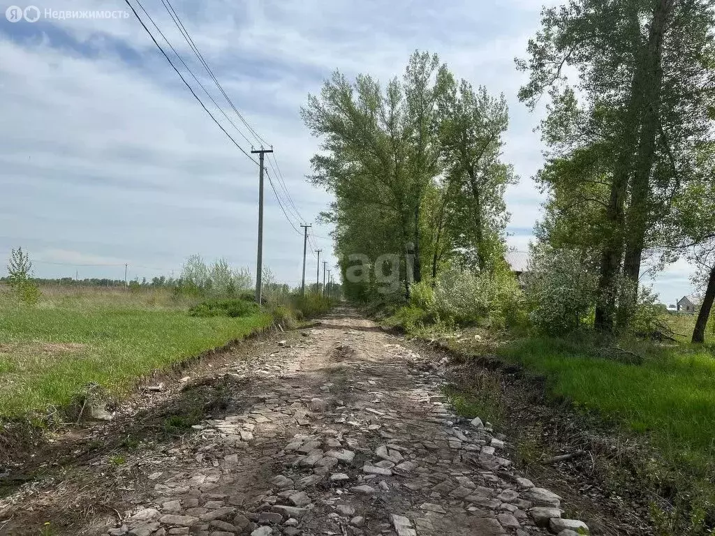 Участок в Первомайский район, посёлок Новый, микрорайон Александрова ... - Фото 0