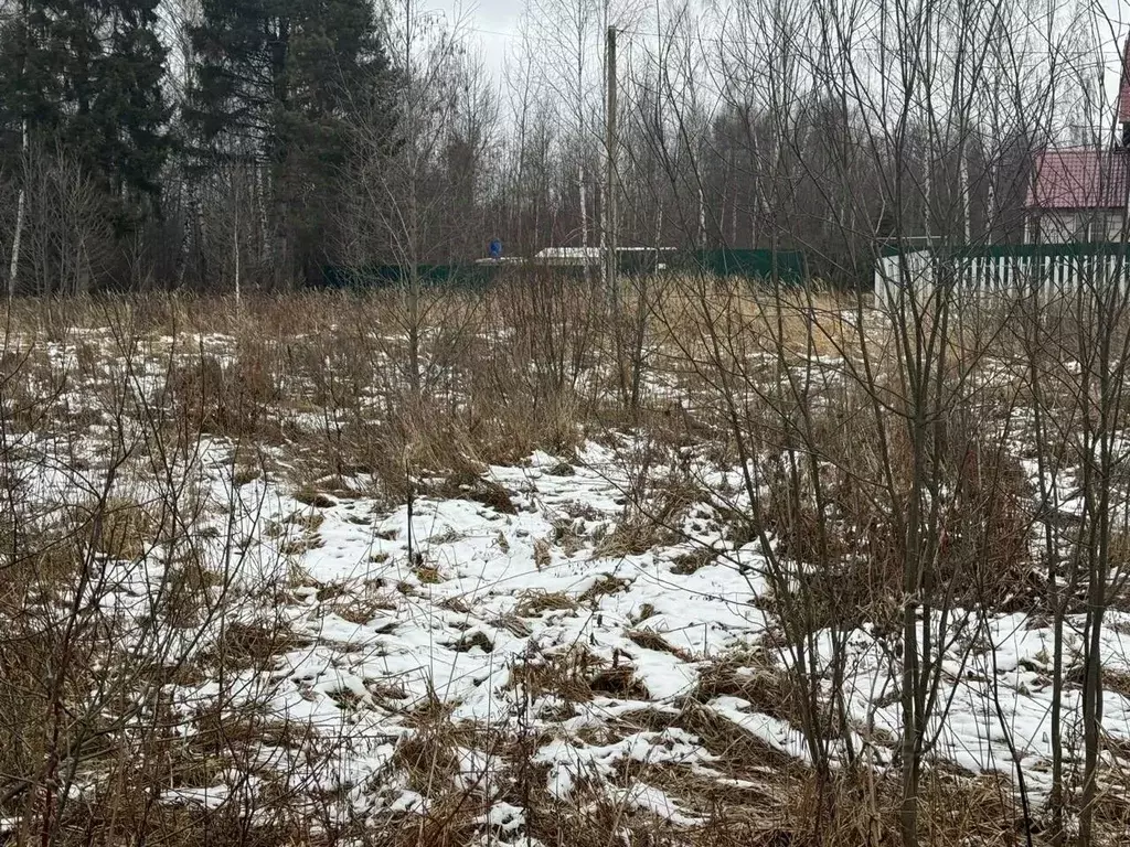 Участок в Московская область, Богородский городской округ, д. ... - Фото 0