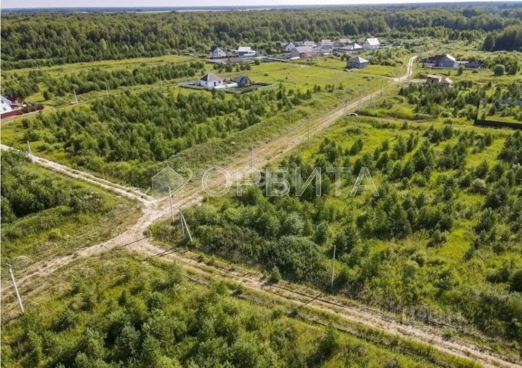 Участок в Тюменская область, Тюменский муниципальный округ, с. Луговое ... - Фото 1