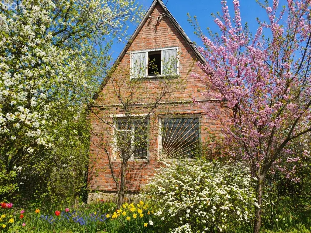 Дом в село Николаевка, Полевая улица (42 м) - Фото 1