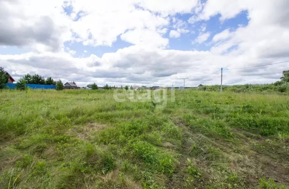 Участок в Тюменская область, Тюменский муниципальный округ, д. Якуши ... - Фото 1