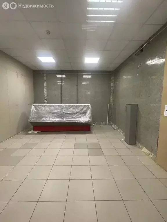 Помещение свободного назначения (213 м) - Фото 2