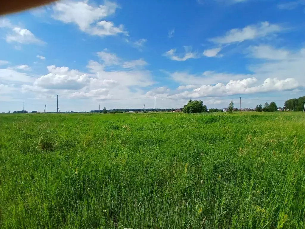 Участок в Новосибирская область, Новосибирский район, Криводановский ... - Фото 1