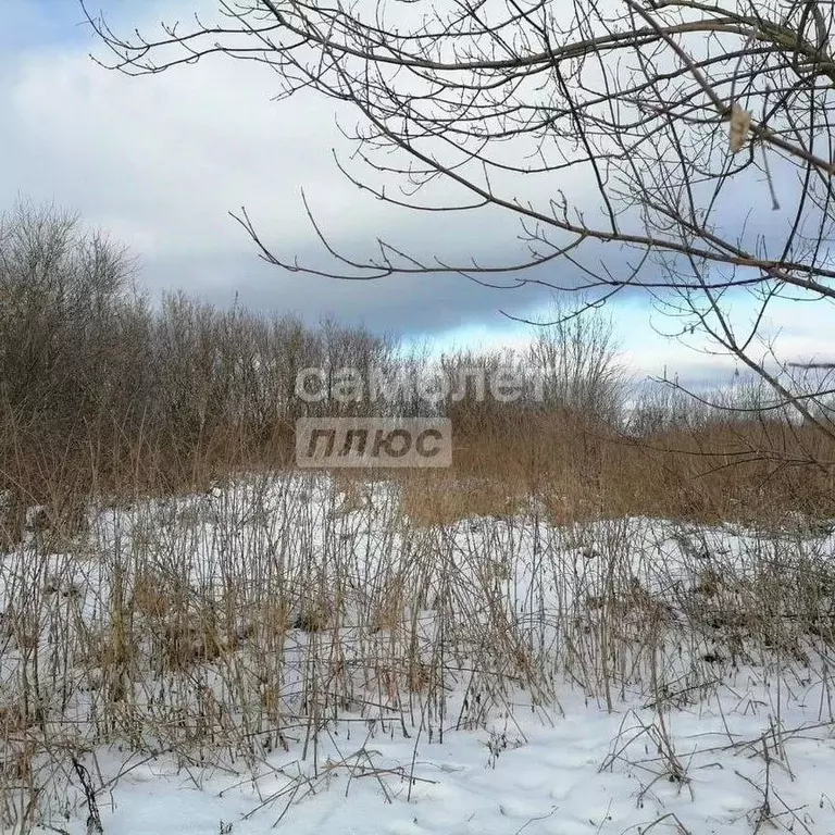 Участок в Марий Эл, Волжск Луговое-2 СНТ, 217 (6.0 сот.) - Фото 2