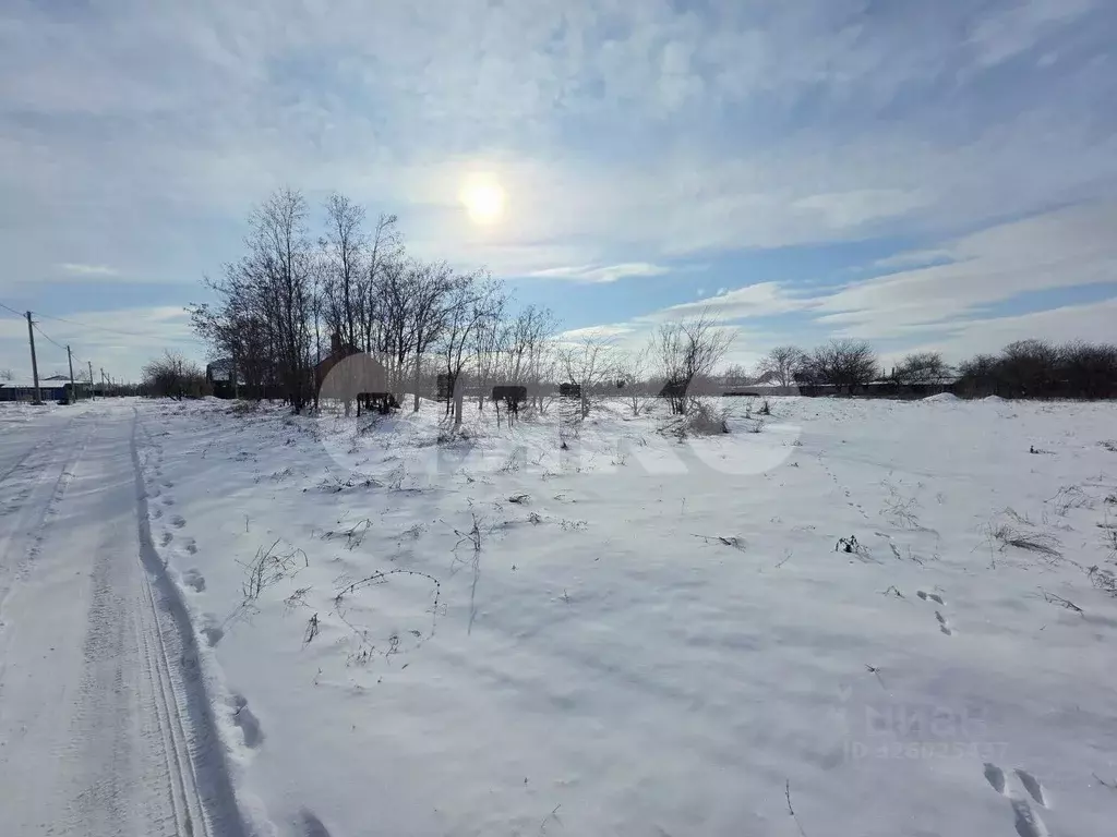 Участок в Краснодарский край, Новокубанский район, Прочноокопская ... - Фото 1