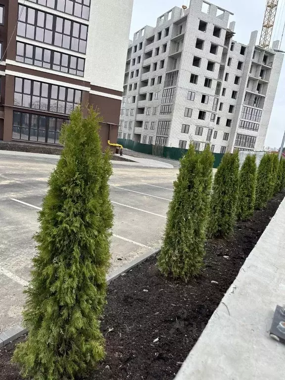 1-к кв. Ивановская область, Иваново ул. Павла Большевикова, 50к6 (38.5 ... - Фото 1