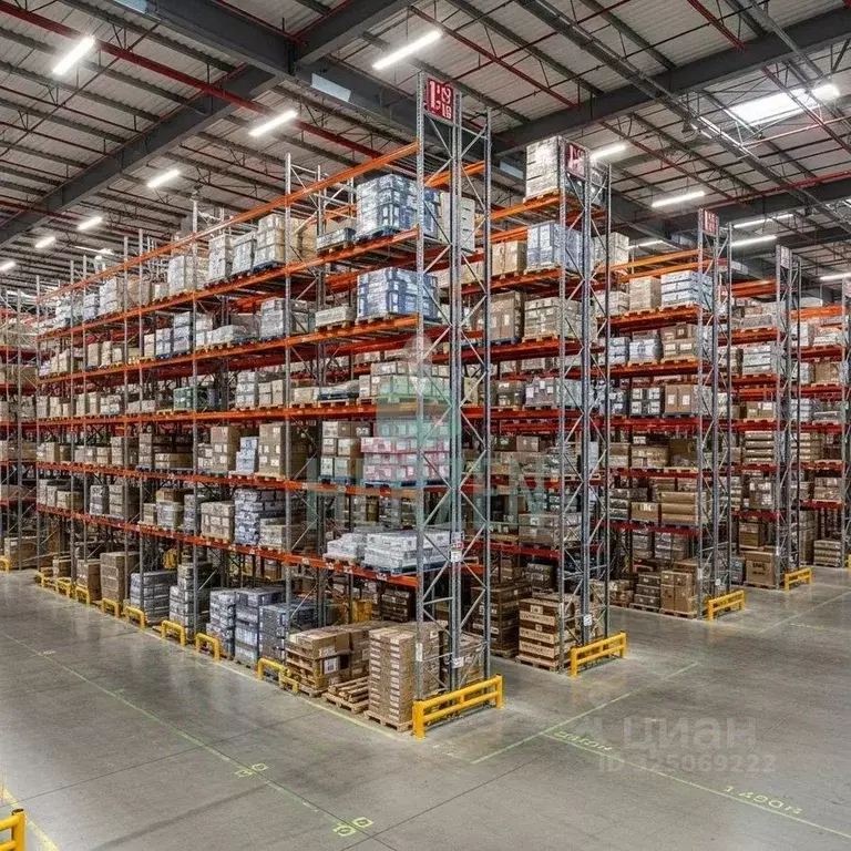 Склад в Московская область, Пушкино ул. Пушкинское поле, вл10с3 (4000 ... - Фото 2