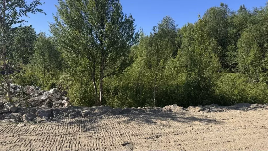 Участок в Мурманская область, Кольский район, Город Кола городское ... - Фото 1