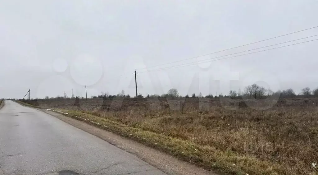 Участок в Псковская область, Псковский район, Логозовская волость  ... - Фото 2