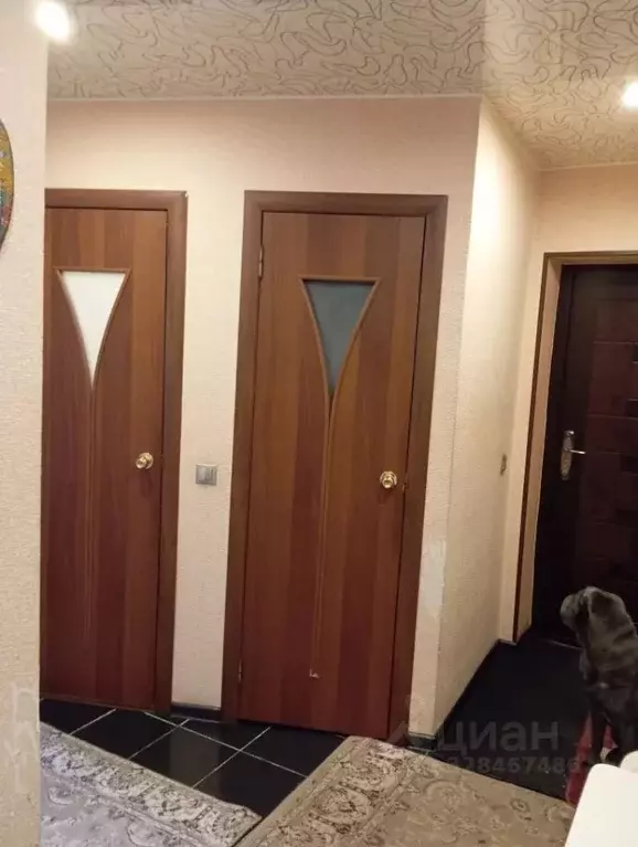 2-к кв. Новгородская область, Малая Вишера Пушкинская ул., 46 (47.1 м) - Фото 2