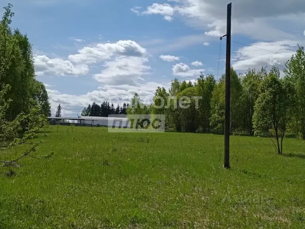 Участок в Калужская область, Малоярославецкий муниципальный округ, ... - Фото 1