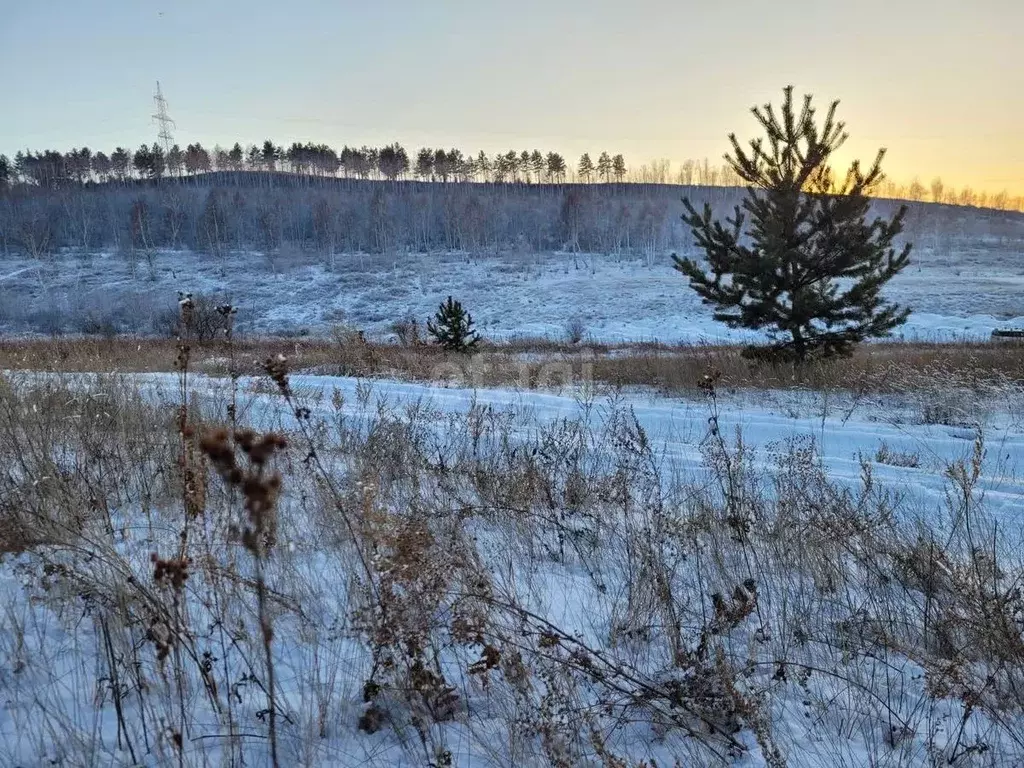 Участок в Забайкальский край, Читинский район, с. Засопка, Молодежный ... - Фото 0