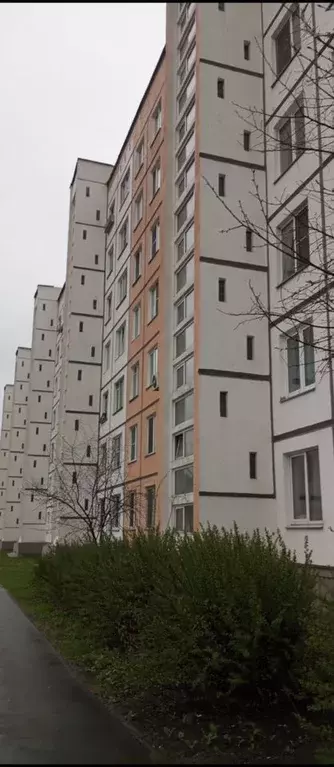 2-к кв. Санкт-Петербург ул. Бабушкина, 89к1 (44.0 м) - Фото 1