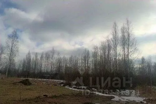 Участок в Новгородская область, Новгородский район, Ракомское с/пос, ... - Фото 1