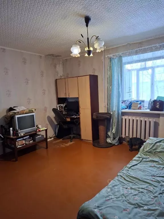 1-к кв. Ярославская область, Ярославль ул. Гоголя, 3 (34.4 м) - Фото 1