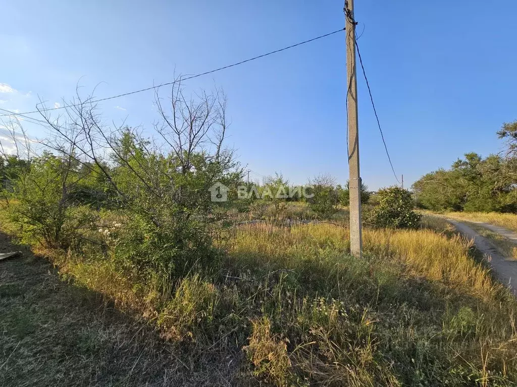 участок в волгоградская область, волгоград берендей снт, (6.56 сот.) - Фото 0