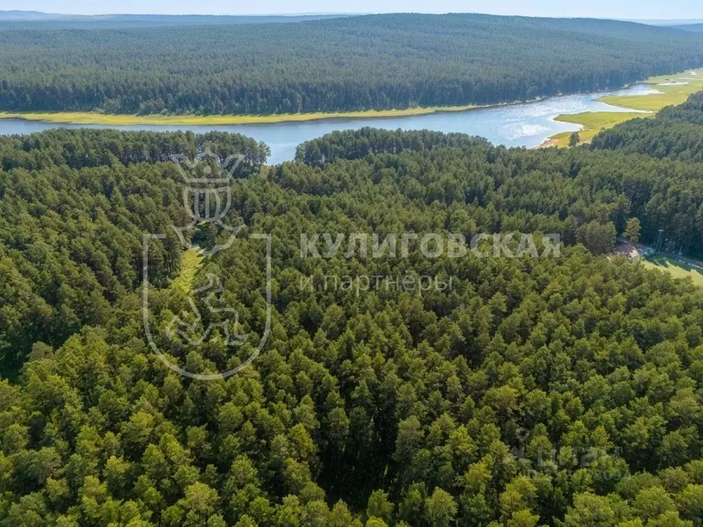 Участок в Свердловская область, Сысерть ул. Березовая (15.99 сот.) - Фото 1