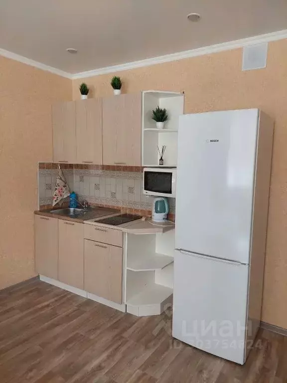 Студия Калужская область, Калуга Хрустальная ул., 44к3 (26.0 м) - Фото 2