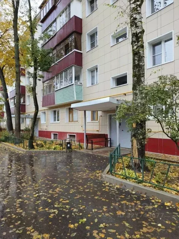 1-к кв. Московская область, Чехов ул. Чехова, 61 (30.2 м) - Фото 1