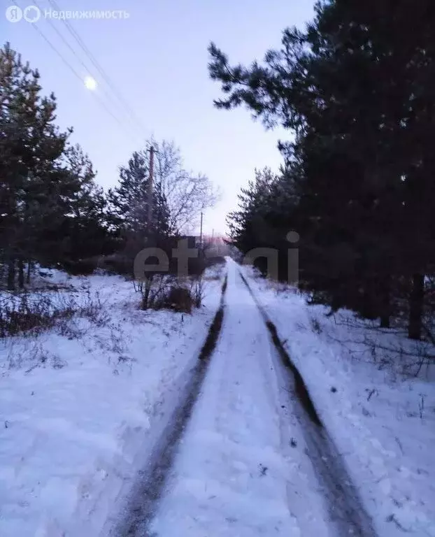 Участок в Ульяновск, СНТ Черничка (6.09 м) - Фото 2