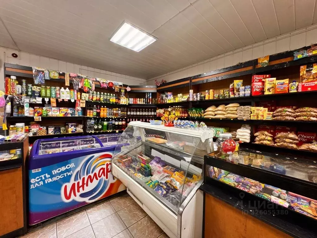 Торговая площадь в Татарстан, Нижнекамский район, Шингальчинское ... - Фото 1