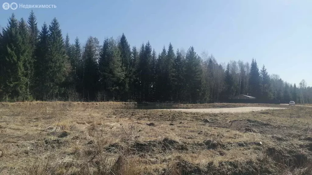 Участок в Московская область, Раменский муниципальный округ, ... - Фото 0