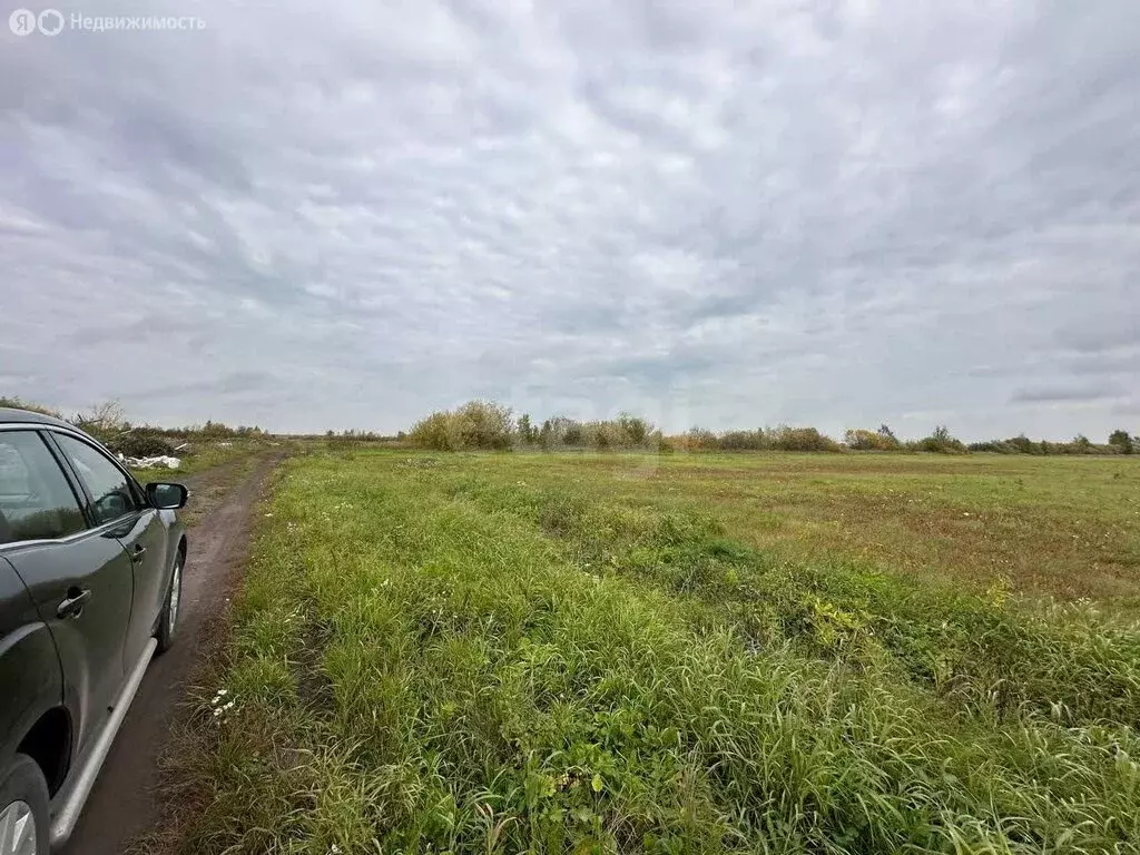 Участок в Тюмень (338.32 м) - Фото 2