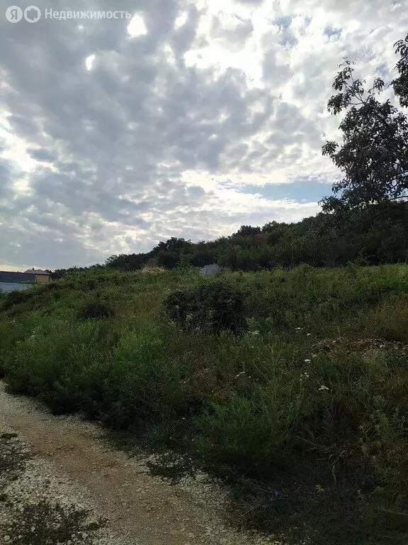 Участок в село Супсех, Андреевская улица, 50 (8 м) - Фото 0