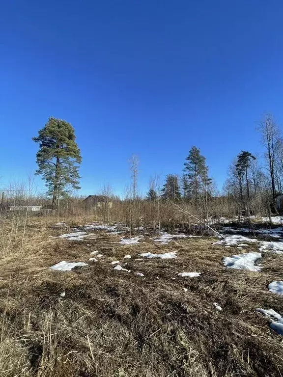Участок в Ленинградская область, Выборг ул. 4-я Былинная (10.0 сот.) - Фото 2