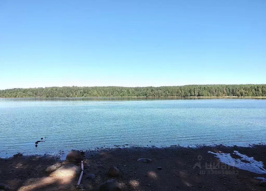Участок в Ленинградская область, Приозерский район, Петровское с/пос, ... - Фото 2