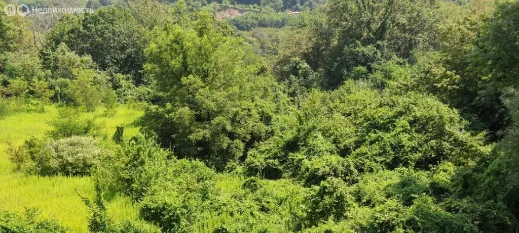 Участок в село Черешня, Владимировская улица, 68 (115 м) - Фото 1