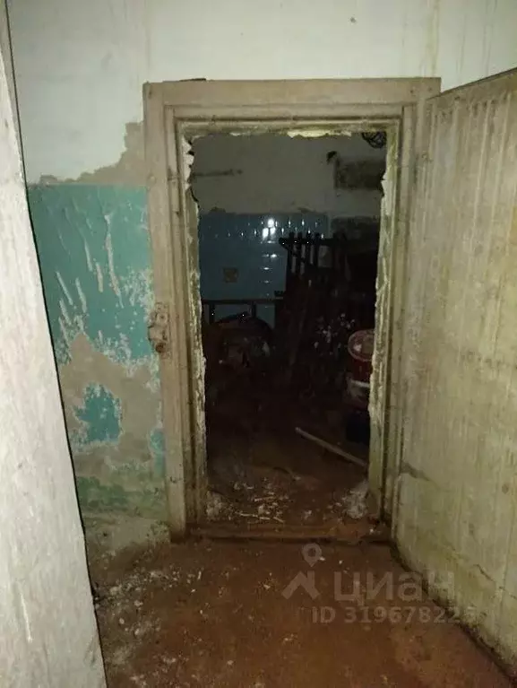 Помещение свободного назначения в Воронежская область, Воронеж ул. ... - Фото 0