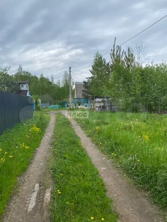 Участок 6 сот. (СНТ, ДНП) - Фото 1