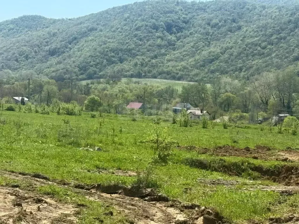 Участок в Краснодарский край, Геленджик городской округ, с. Береговое  ... - Фото 1