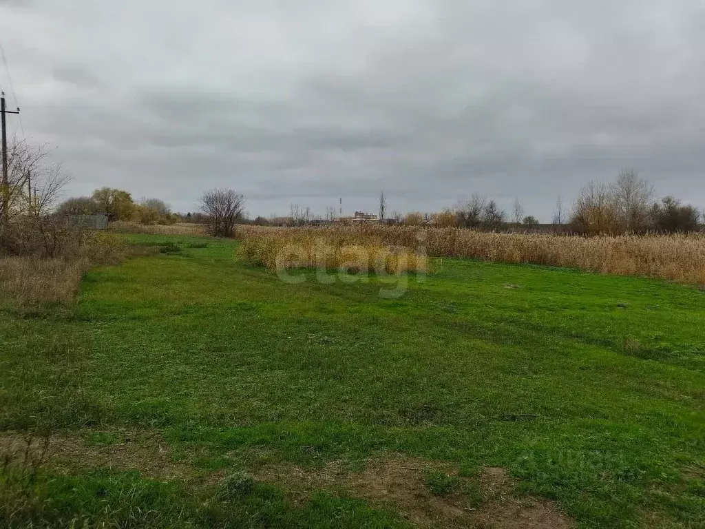 Участок в Ростовская область, Багаевский район, Манычская ст-ца ... - Фото 1