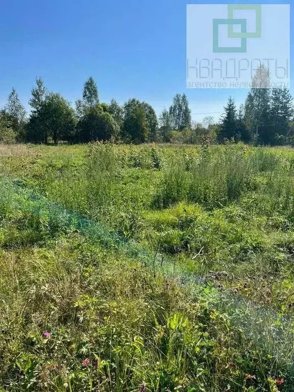 Участок в Ленинградская область, Лужский район, пос. Мшинская  (14.0 ... - Фото 2