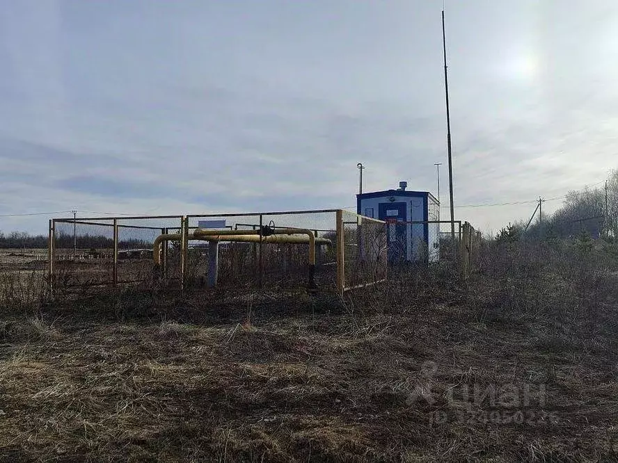 Участок в Ивановская область, Ивановский район, Беляницкое с/пос, д. ... - Фото 1